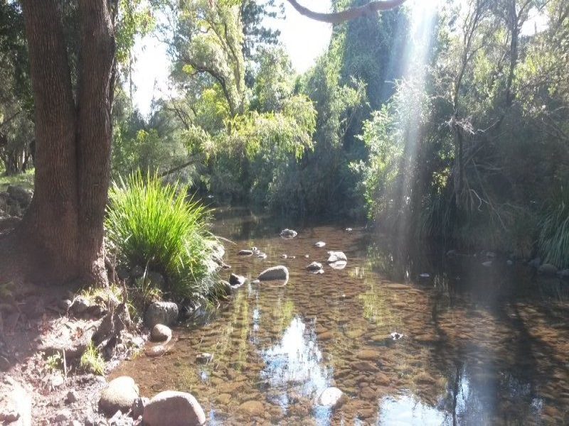 L21 Bendalls Road, VIA FINDON CREEK, Kyogle NSW 2474