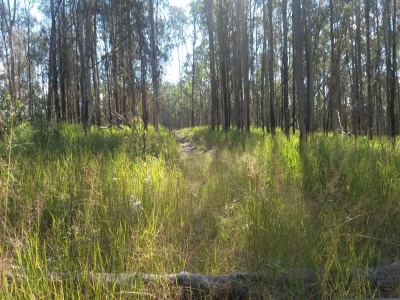 Lot 142 Sugarbag Road, Tabulam NSW 2469