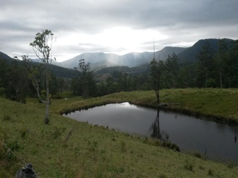 830 Gradys Creek Road, Kyogle NSW 2474