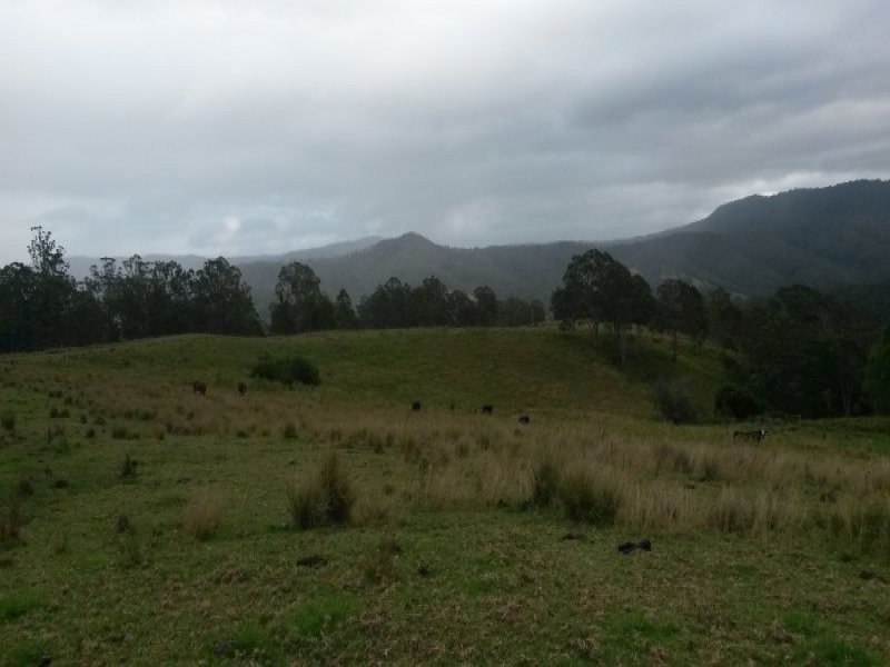 830 Gradys Creek Road, Kyogle NSW 2474