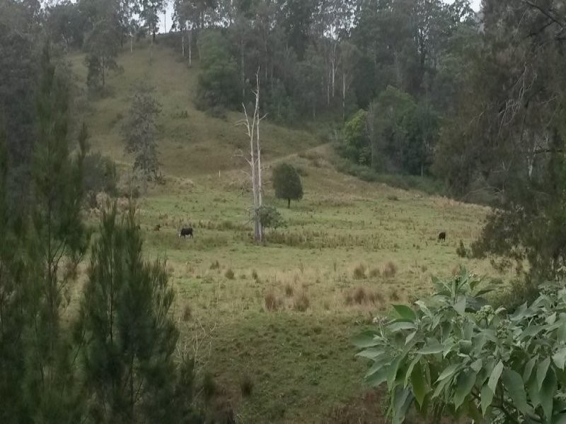 830 Gradys Creek Road, Kyogle NSW 2474