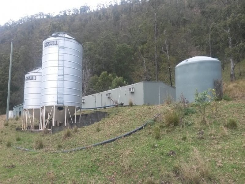 830 Gradys Creek Road, Kyogle NSW 2474