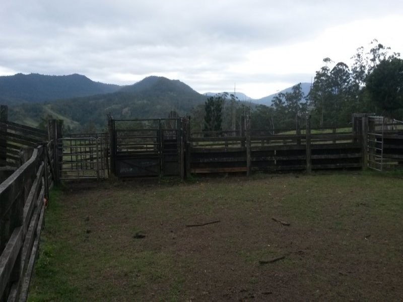 830 Gradys Creek Road, Kyogle NSW 2474