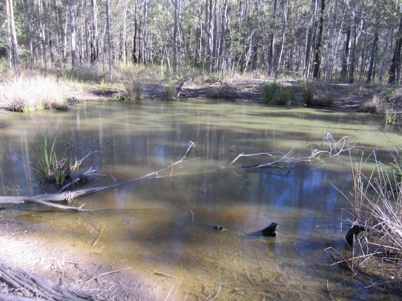 Lot 109 Old Wyan Road, Rappville NSW 2469