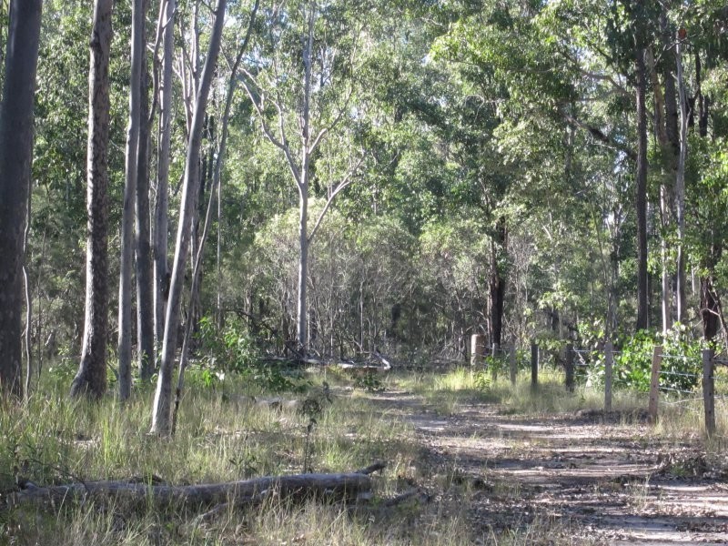 Lot 109 Old Wyan Road, Rappville NSW 2469