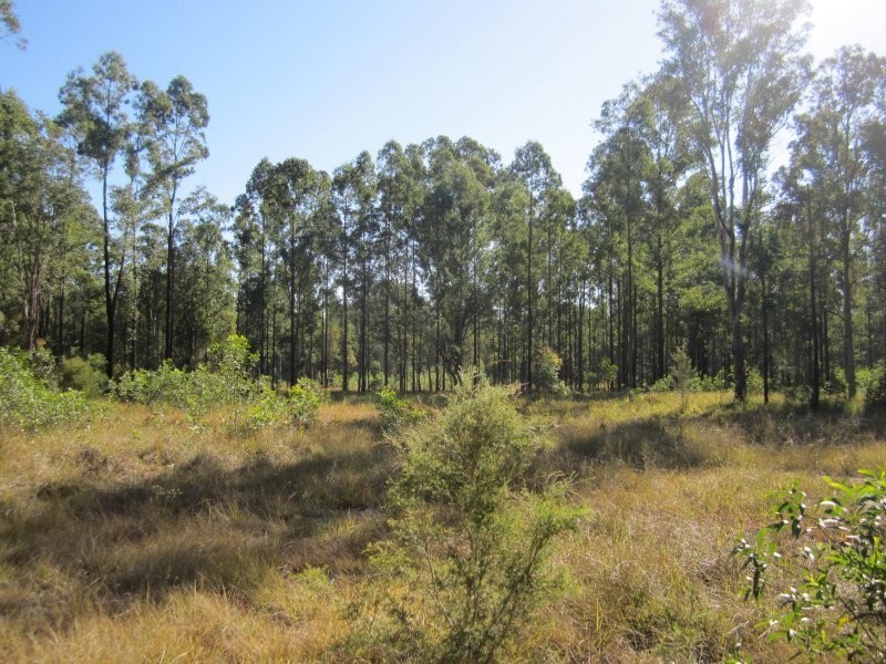 Lot 109 Old Wyan Road, Rappville NSW 2469