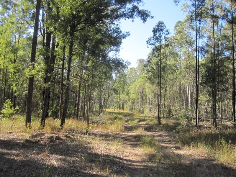 Lot 109 Old Wyan Road, Rappville NSW 2469