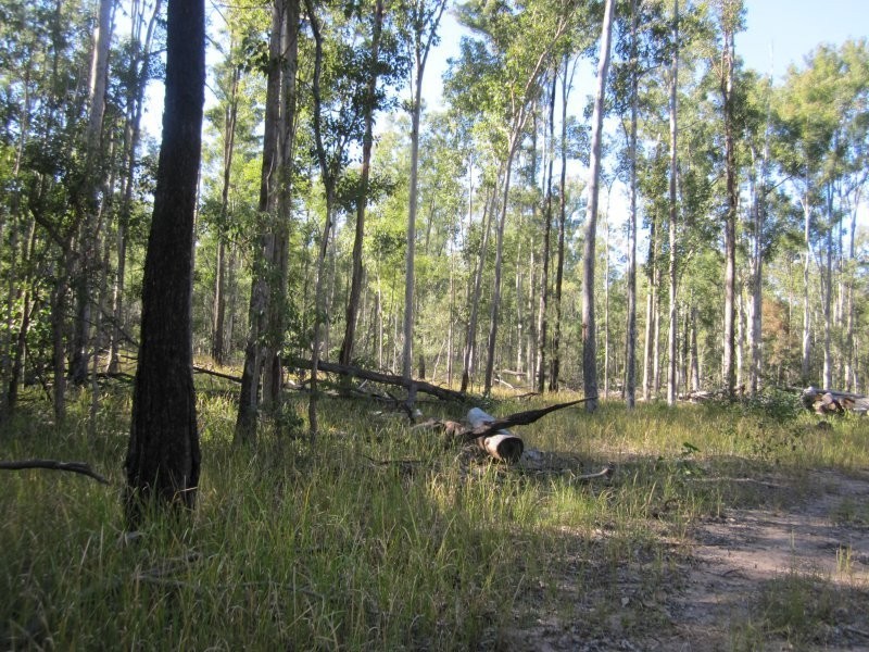 Lot 109 Old Wyan Road, Rappville NSW 2469