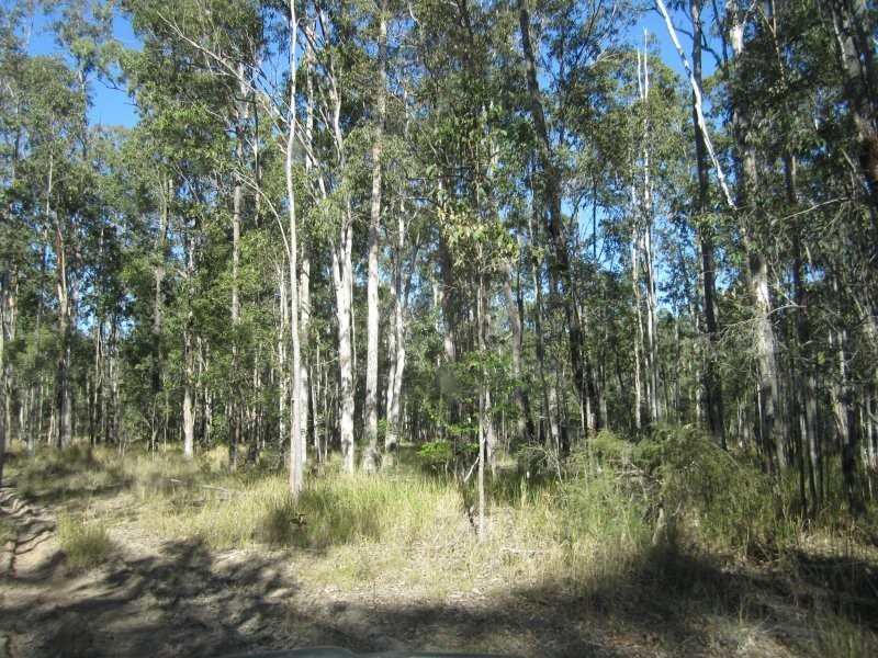 Lot 109 Old Wyan Road, Rappville NSW 2469