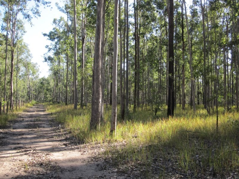 Lot 109 Old Wyan Road, Rappville NSW 2469