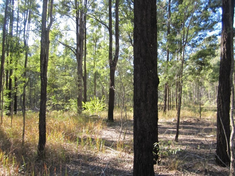 Lot 109 Old Wyan Road, Rappville NSW 2469