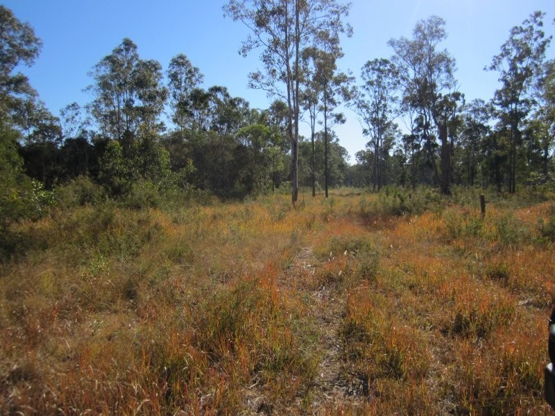 Lot 109 Old Wyan Road, Rappville NSW 2469