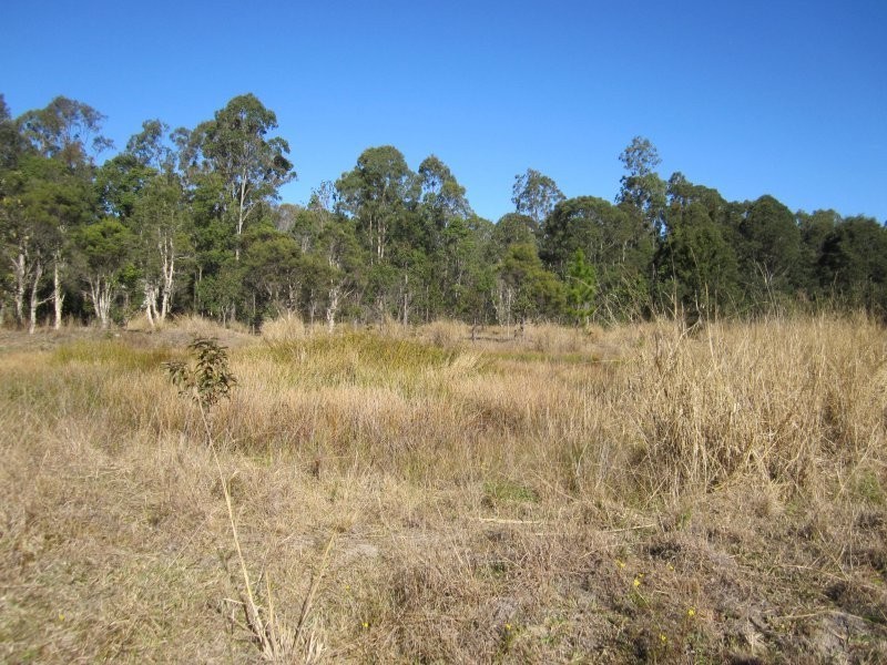 Lot 109 Old Wyan Road, Rappville NSW 2469