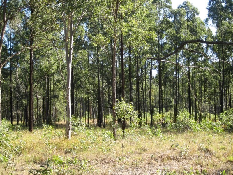 Lot 109 Old Wyan Road, Rappville NSW 2469