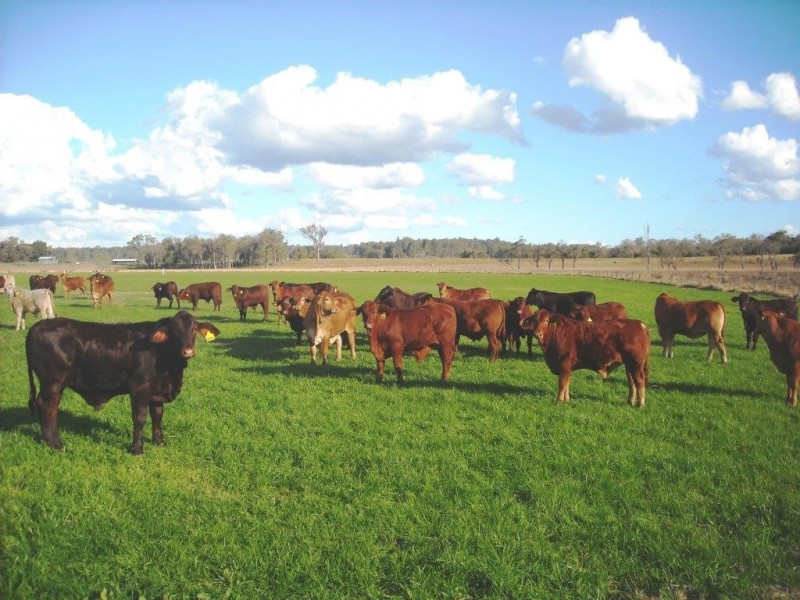 1605 Sextonville Rd, Casino NSW 2470