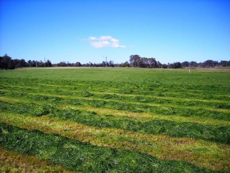 1605 Sextonville Rd, Casino NSW 2470