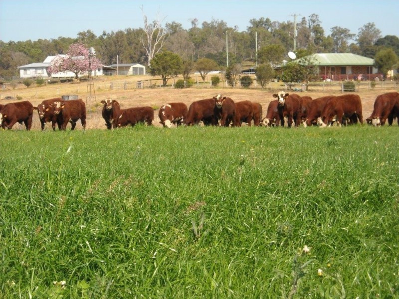 1605 Sextonville Rd, Casino NSW 2470