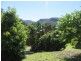 Nimbin NSW 2480