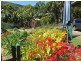 Nimbin NSW 2480