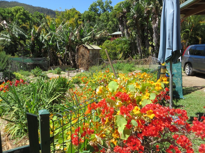 Nimbin NSW 2480