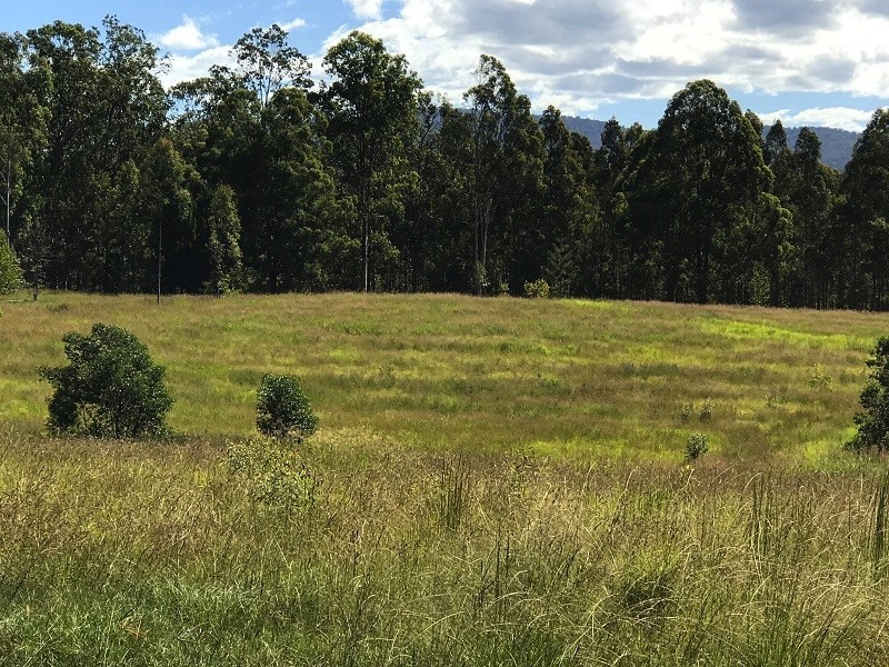 21 Peckhams Rd, Ewingar NSW 2469