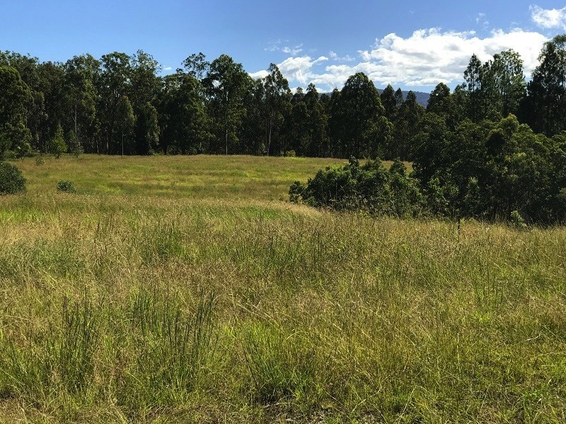 21 Peckhams Rd, Ewingar NSW 2469