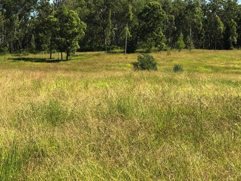 21 Peckhams Rd, Ewingar NSW 2469