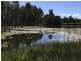 21 Peckhams Rd, Ewingar NSW 2469