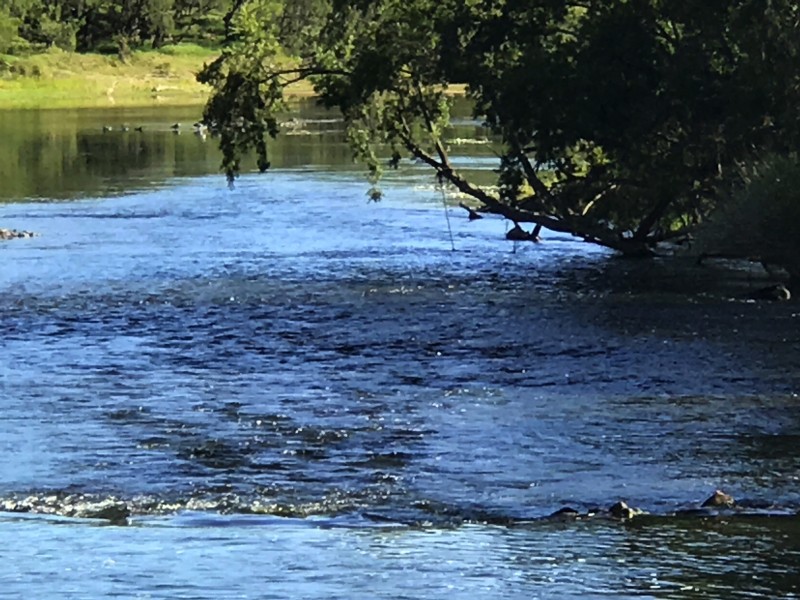 21 Peckhams Rd, Ewingar NSW 2469