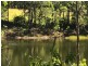 21 Peckhams Rd, Ewingar NSW 2469