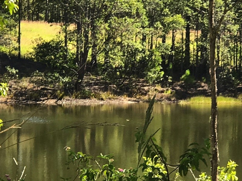 21 Peckhams Rd, Ewingar NSW 2469