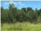 21 Peckhams Rd, Ewingar NSW 2469