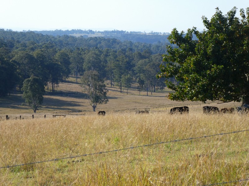 Leeville NSW 2470