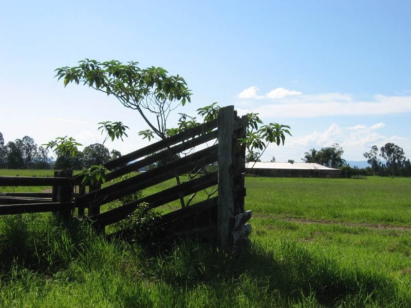 36 woodlands, Pampoolah NSW 2430