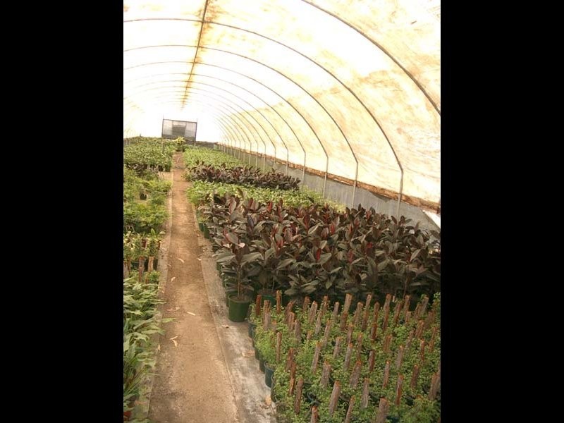 121 Pampoolah Road, Pampoolah NSW 2430