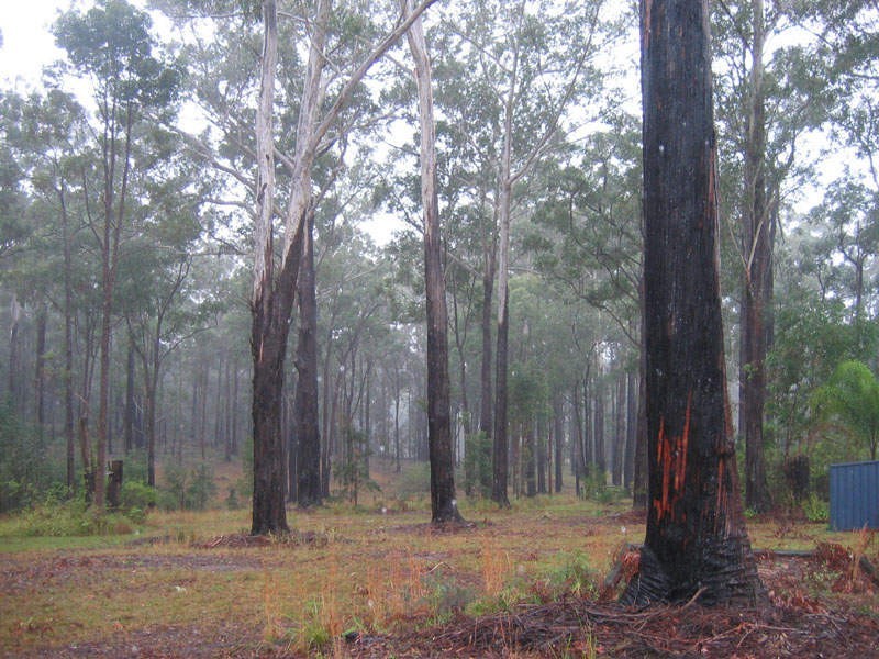 13 Scotts Road, Mitchells Island NSW 2430