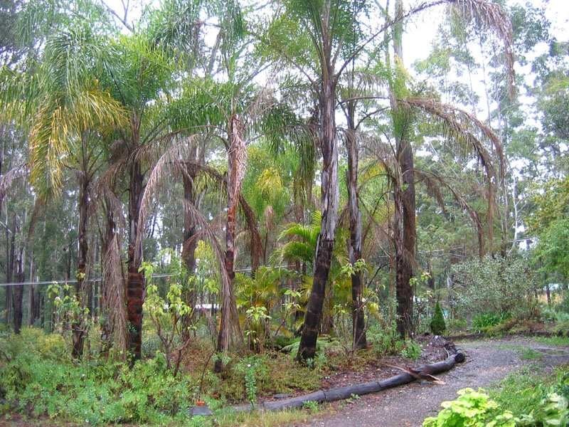 13 Scotts Road, Mitchells Island NSW 2430