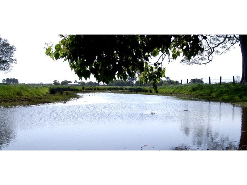 Oxley Island NSW 2430