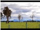 Oxley Island NSW 2430