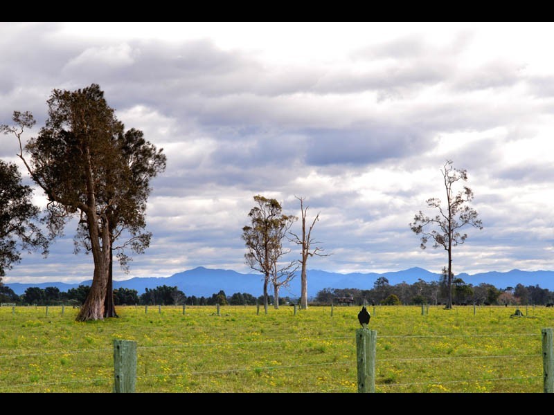 Oxley Island NSW 2430