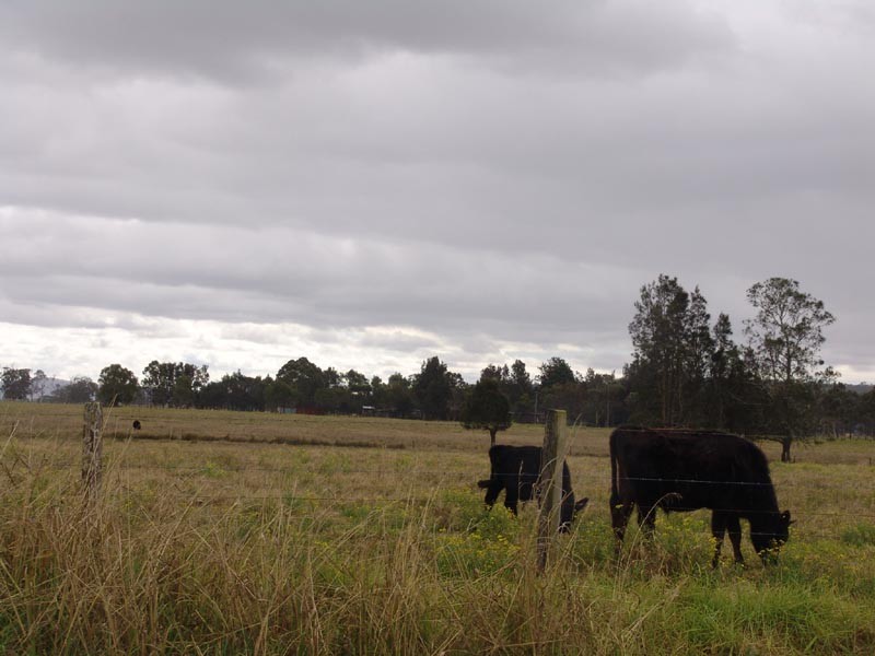 Oxley Island NSW 2430