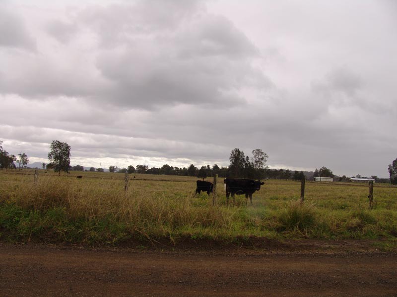 Oxley Island NSW 2430