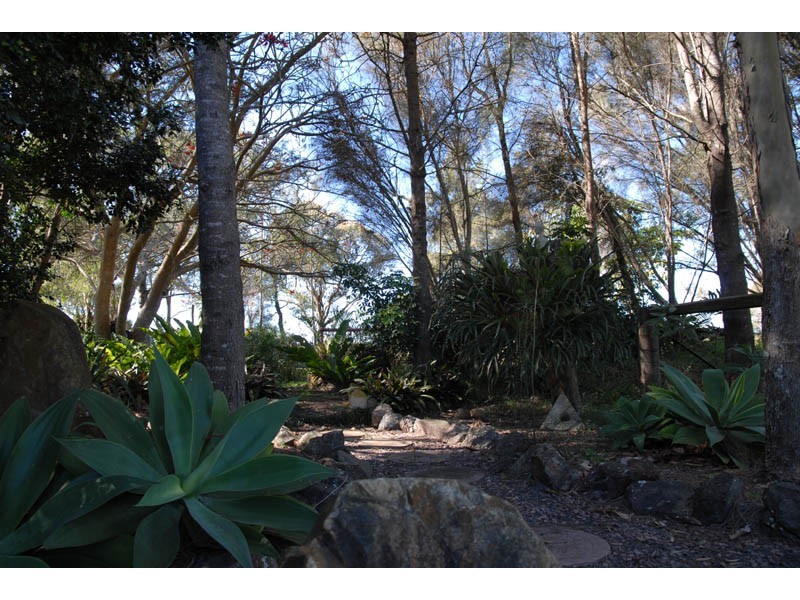 Oxley Island NSW 2430