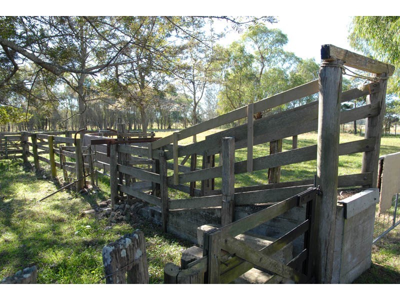 Oxley Island NSW 2430