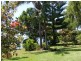 Mitchells Island NSW 2430