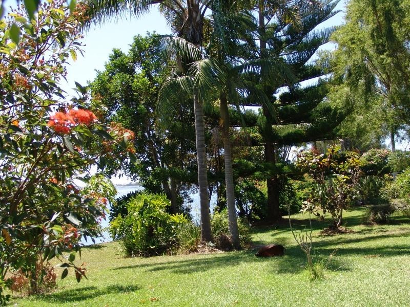 Mitchells Island NSW 2430