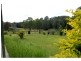 Mitchells Island NSW 2430