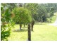 Mitchells Island NSW 2430