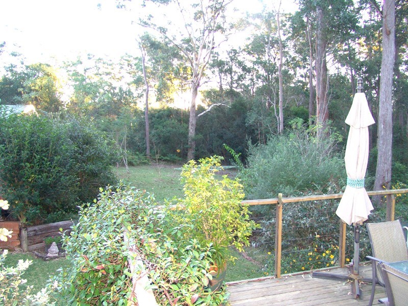 Mitchells Island NSW 2430