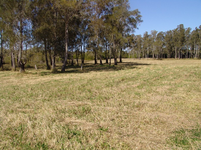 Mitchells Island NSW 2430